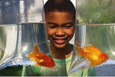 塔防Roguelike游戏《鸡械绿洲》2024年更新路线图公布 包含大量内容更新