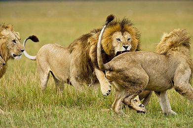 《刺客信条：影》新宣传图 新的信条在日本崛起